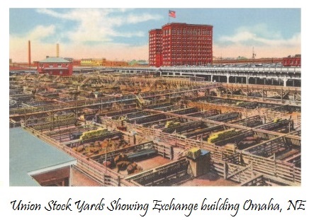 Union Stock Yards Showing Exchange building Union Stock Yards Showing Exchange building