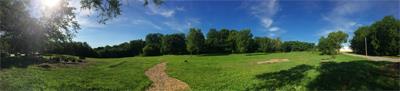 Dorothy Patach Environmental Area