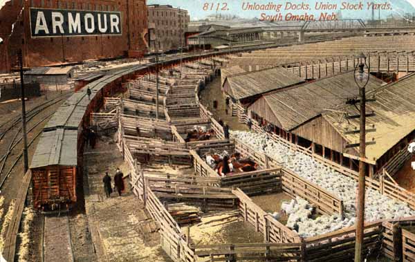 Unloading docks, union stockyards, south omaha, NE - trains and pens of animals