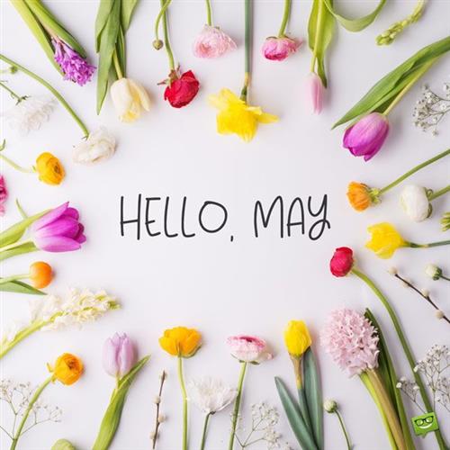 Hello May