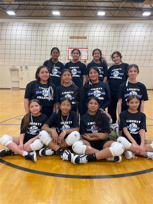 Girls volleyball team